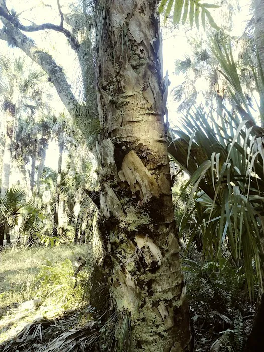 Dupuis Group Campground. 22500 SW Kanner HWY 5