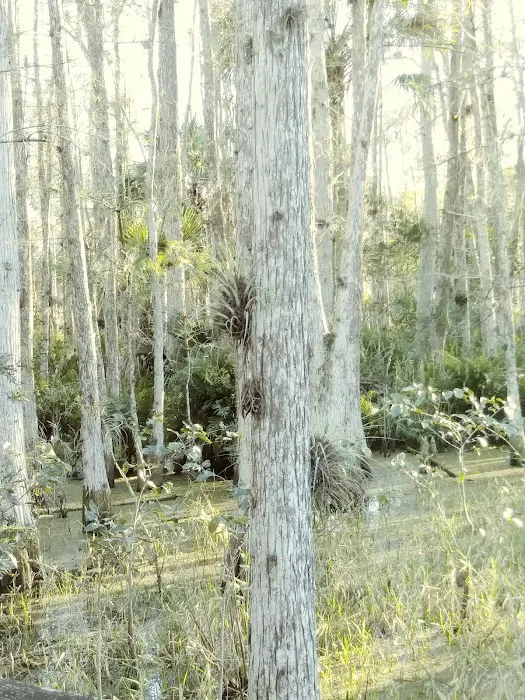 Dupuis Group Campground. 22500 SW Kanner HWY 6