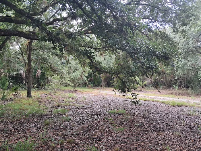 Chandler Slough West Campsite 0