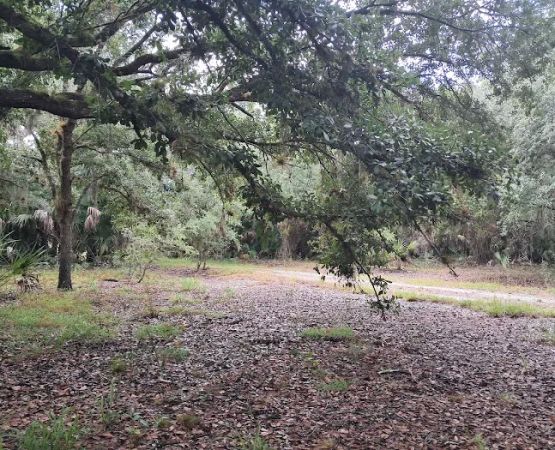 Chandler Slough West Campsite
