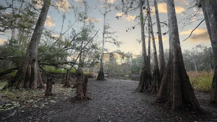 Fisheating Creek 3