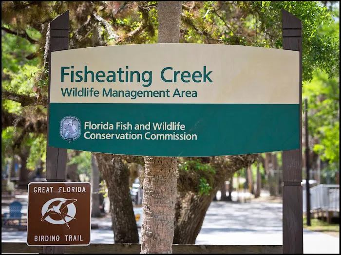 Fisheating Creek 7