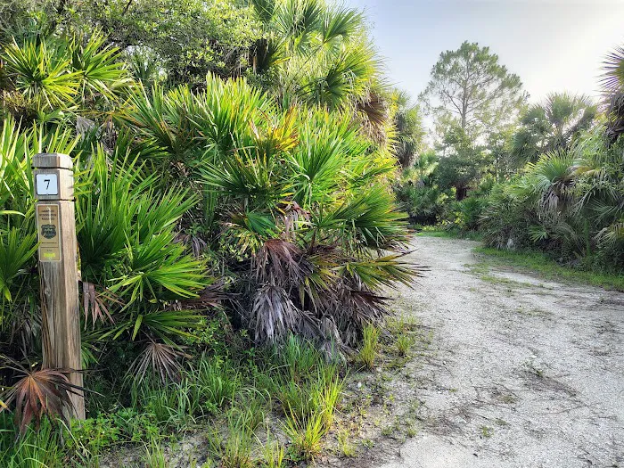 Panther Pond Campground 7