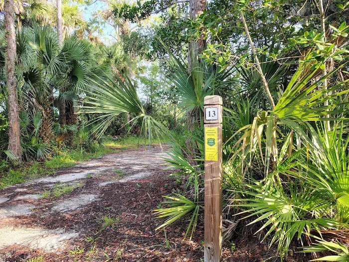 Panther Pond Campground 8