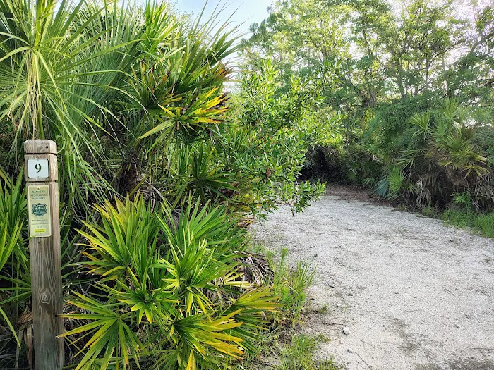 Panther Pond Campground 9