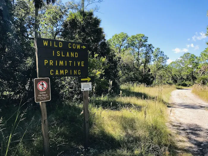 Wild Cow Primative Group Camp 2