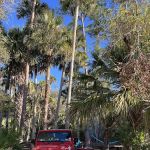 Wild Cow Primative Group Camp