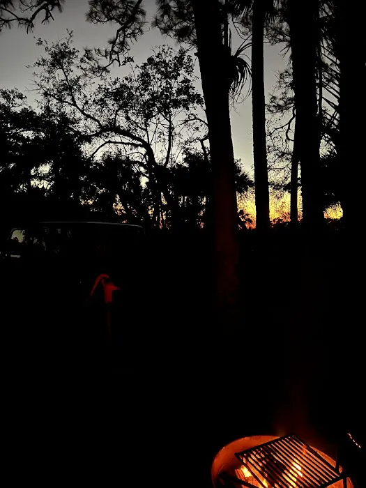 Wild Cow Primative Group Camp 4