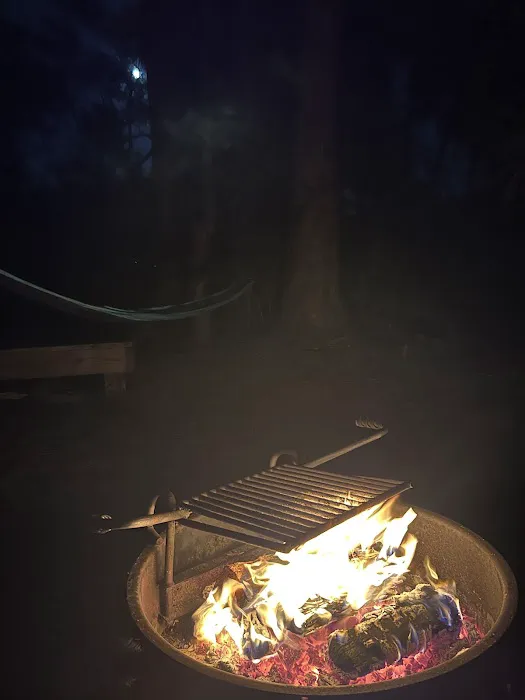 Wild Cow Primative Group Camp 6