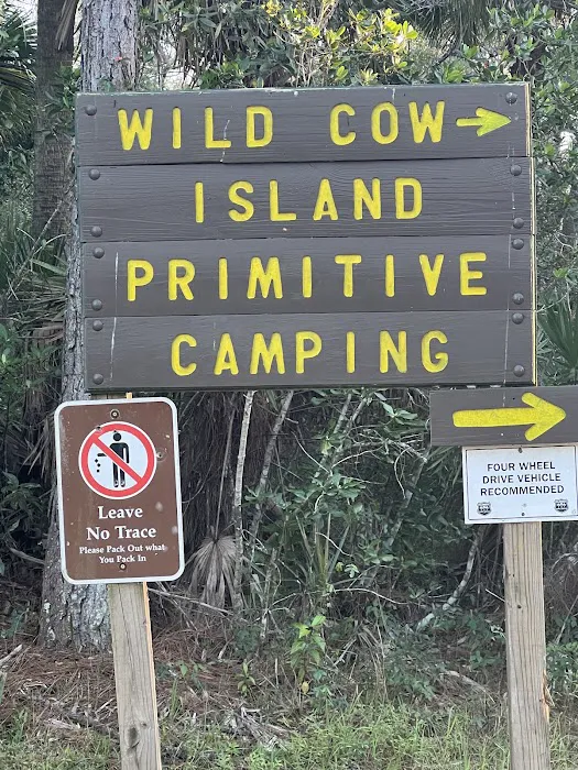 Wild Cow Primative Group Camp 9