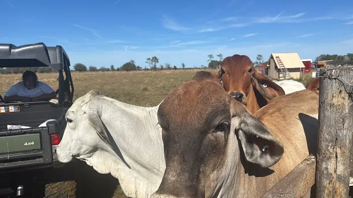 NBU RANCH 1