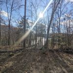 Buck Ridge Campground