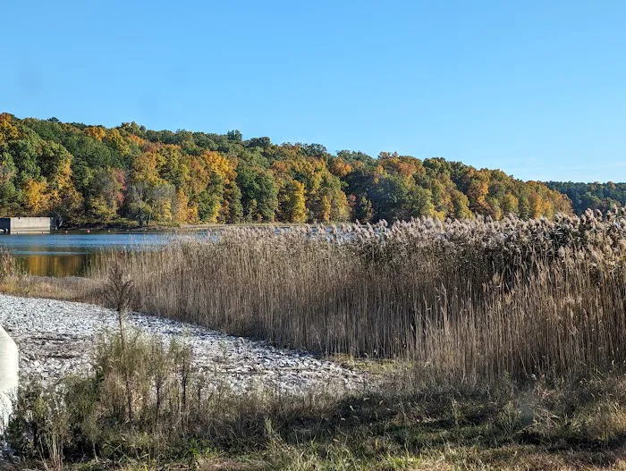 Devils Kitchen Group Campground 4