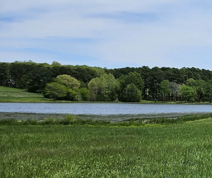 Tall Tree Lake 0