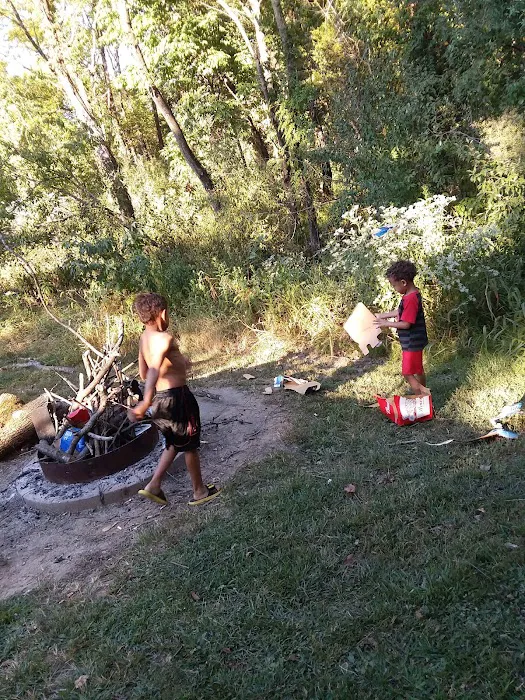 Beaver Lodge 8