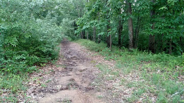 Beaver Lodge 9
