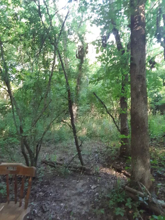 Bailey's Oasis 0