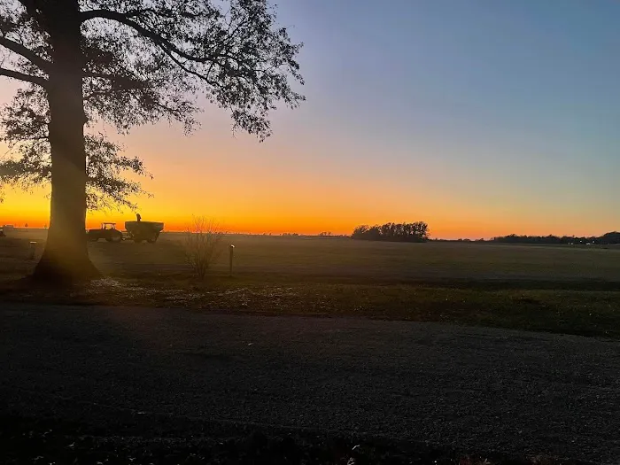 Hushed Sunset 0