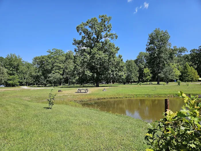 Turkey Bayou 1