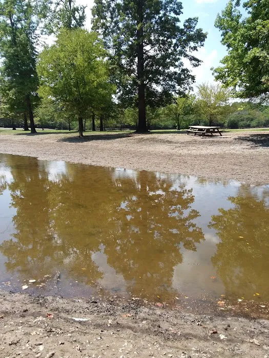 Turkey Bayou 4