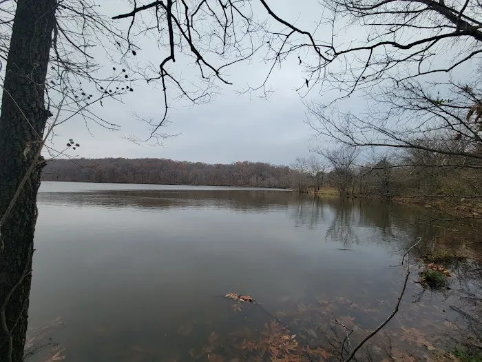 Cedar Lake Campsite #1 0
