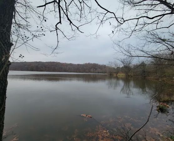Cedar Lake Campsite #1