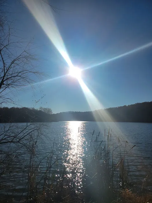 Cedar Lake Campsite #1 3