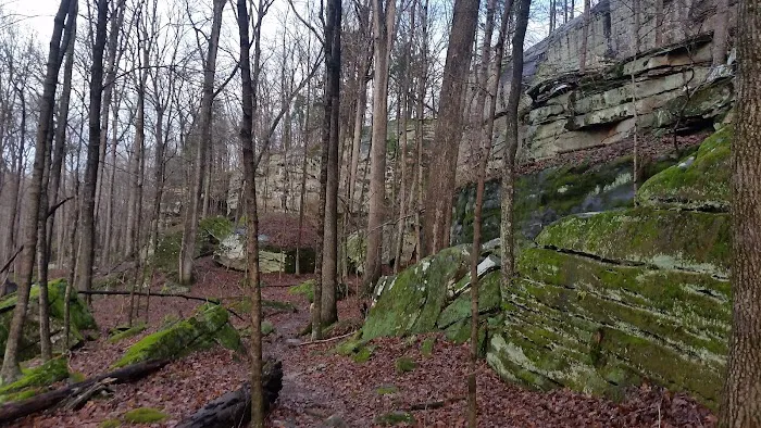 Jackson Falls 2