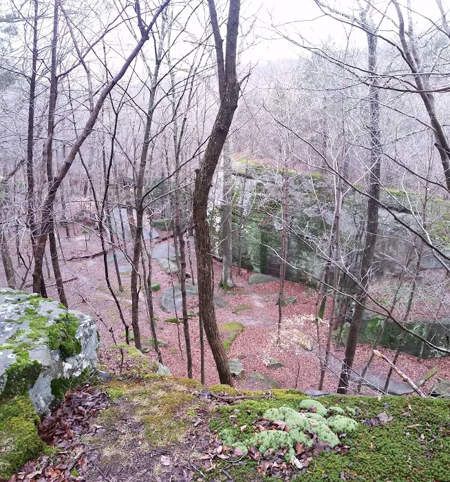 Jackson Falls 1