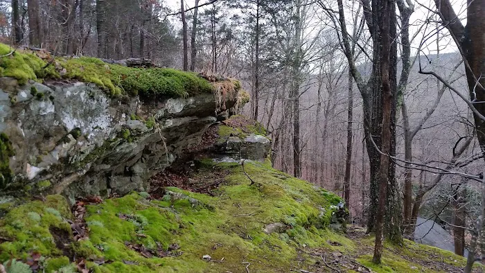 Jackson Falls 4
