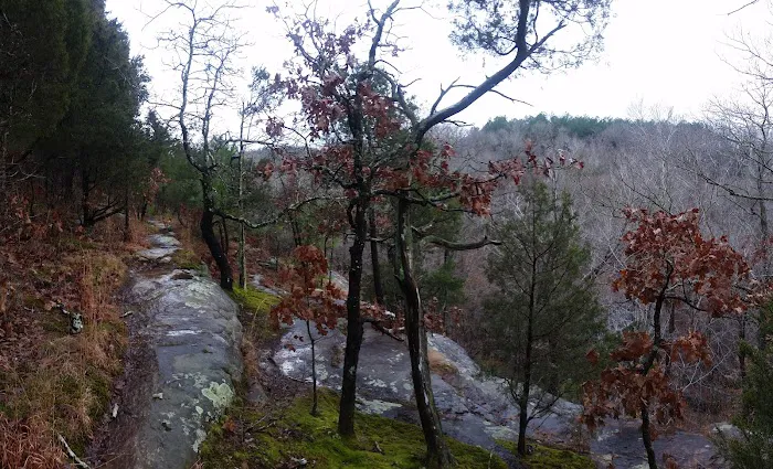 Jackson Falls 5
