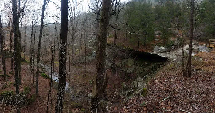 Jackson Falls 7