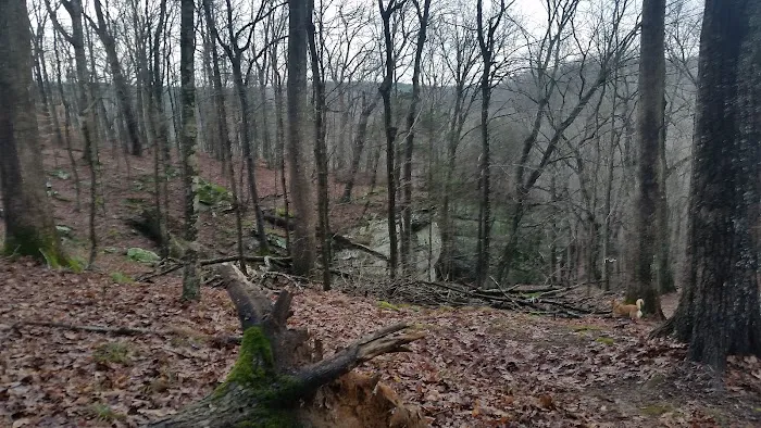 Jackson Falls 8
