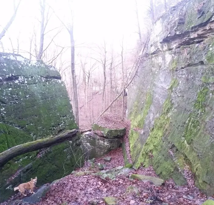 Jackson Falls 9