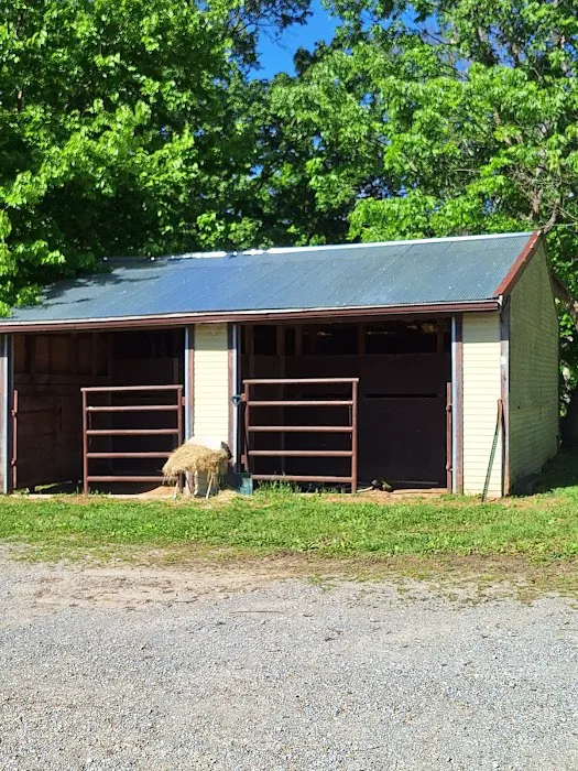 Bay Creek Ranch Inc. 4