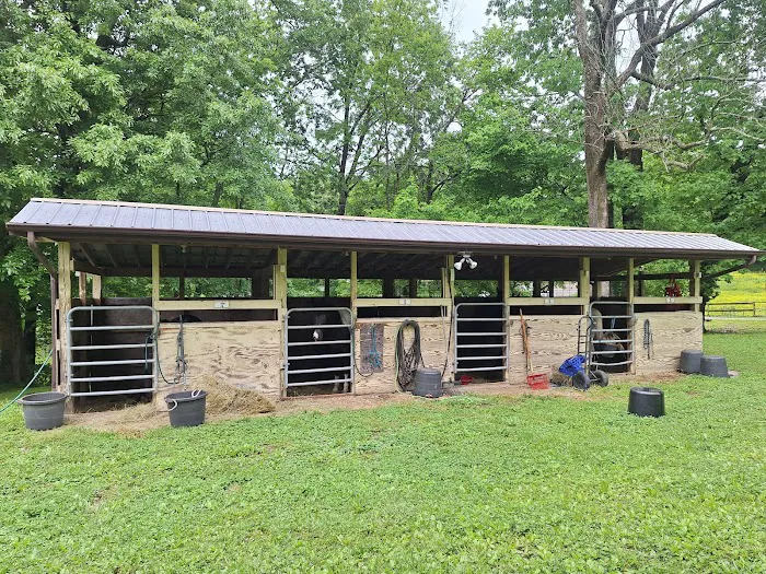 Bay Creek Ranch Inc. 2