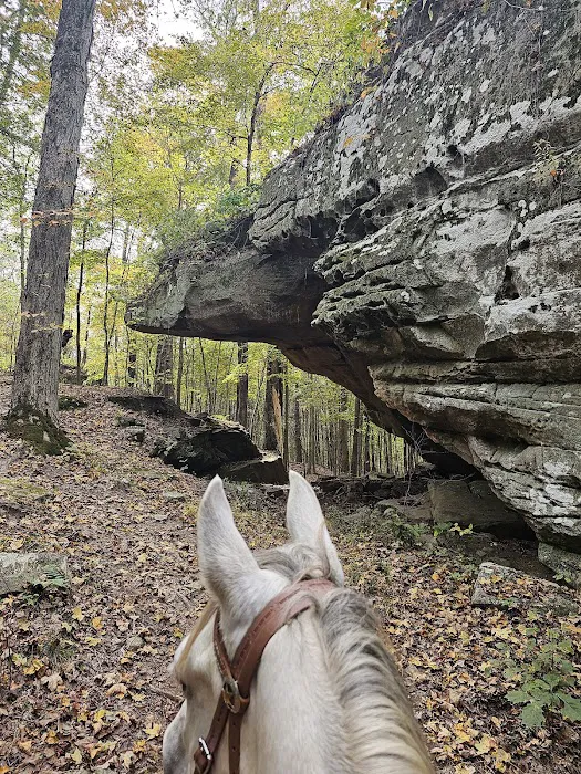 Bay Creek Ranch Inc. 7