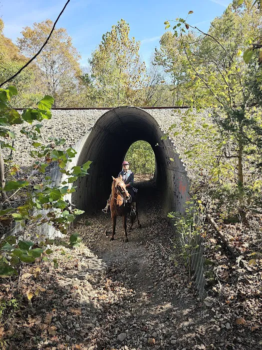 Bay Creek Ranch Inc. 9