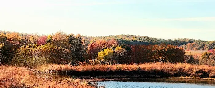Pennant Bar Openland - Shawnee National Forest 4