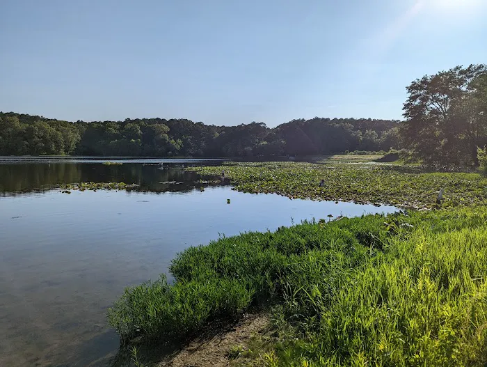 Lake Glendale Recreation Area 2