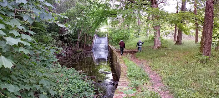 Lake Glendale 4