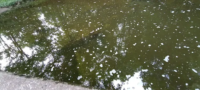 Lake Glendale 6
