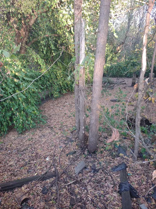 Main Brothers Campground 4