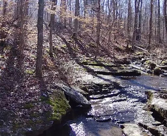 Whispering Harvest Campground