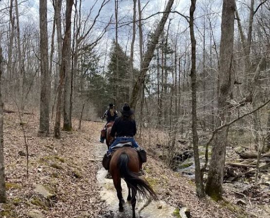 Bear Branch Campgrounds