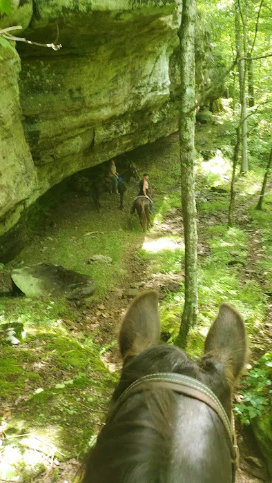 Bear Branch Campgrounds 8