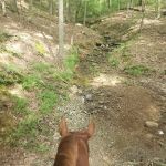 Trailhead Hideaway Campground