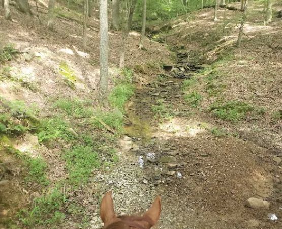 Trailhead Hideaway Campground
