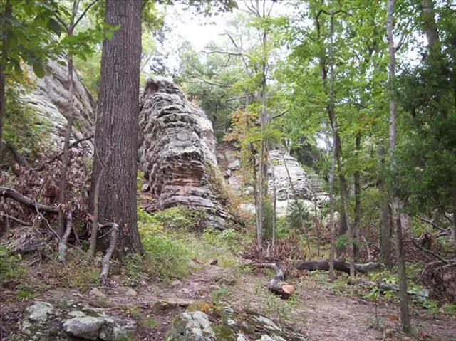 High Knob Equestrian Campground 3