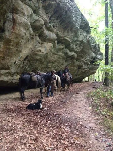 High Knob Equestrian Campground 4